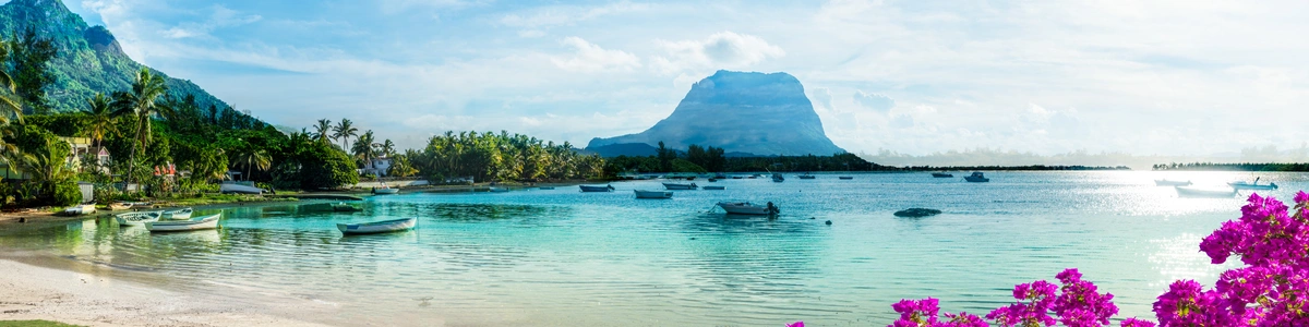 https://ofertas.avorostravel.com/viajes/assets/upload/d97.webp